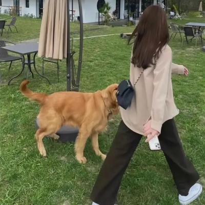 倩女奇冤